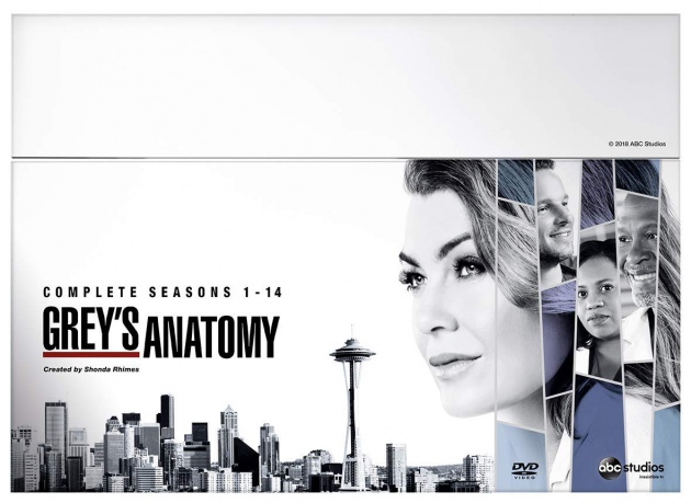 Grey's Anatomy Season 1-14 (Chirurdzy) [82DVD]