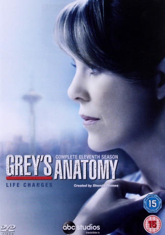 Grey's Anatomy Season 11 (Chirurdzy) [6DVD]