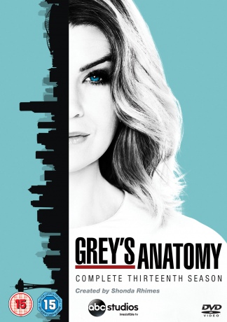 Grey's Anatomy Season 13 (Chirurdzy) [6DVD]