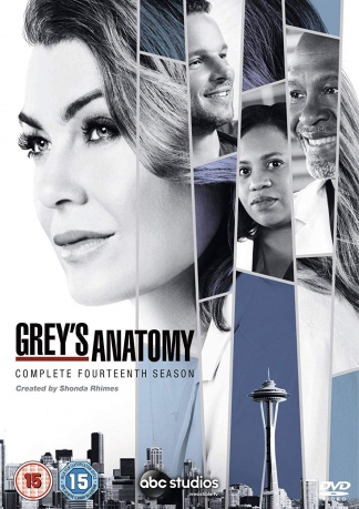 Grey's Anatomy Season 14 (Chirurdzy) [DVD]
