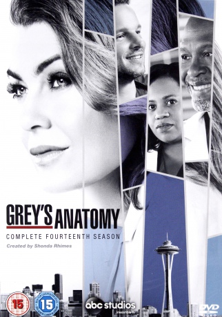 Grey's Anatomy Season 14 (Chirurdzy) [DVD]
