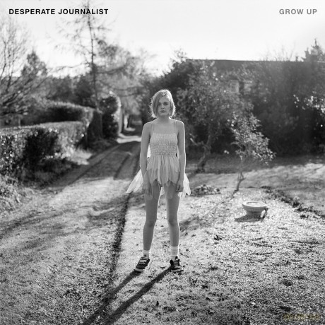 Desperate Journalist: Grow Up [CD]
