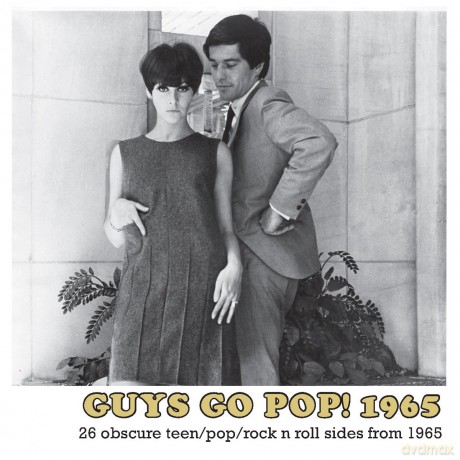 Guys Go Pop 1965 26 Obscure Teenpoprock N Roll Sides From 1965 [CD]