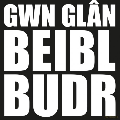 Lleuwen: Gwn Glan Beibl Budr [CD]
