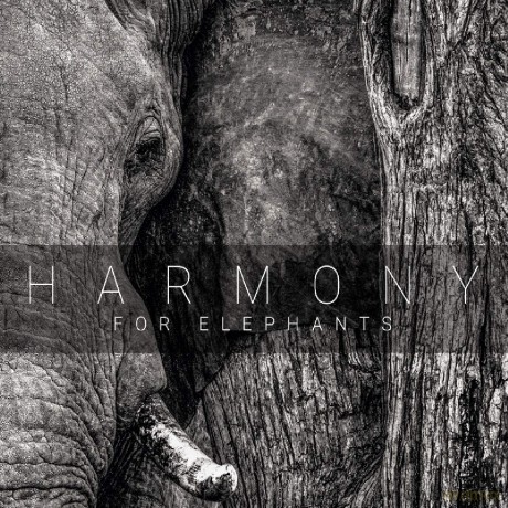 Harmony For Elephants - A Charity Album [CD]