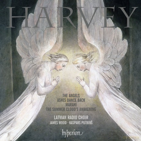 Latvian Rcputninswood: Harveythe Angelsashes Dance Back [CD]
