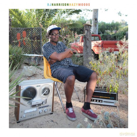 Dj Harrison: Hazymoods [Winyl]