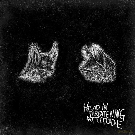 Natterers: Head In Threatening Attitude [CD]