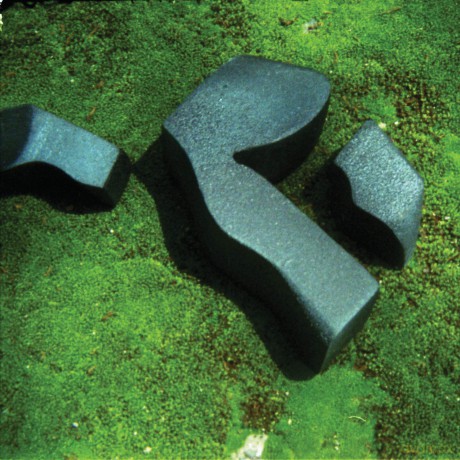 Camila Fuchs: Heart Pressed Between Stones [CD]
