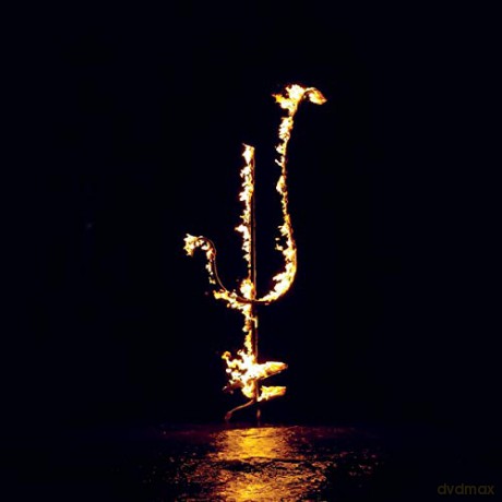 Demon Head: Hellfire Ocean Void [Winyl]