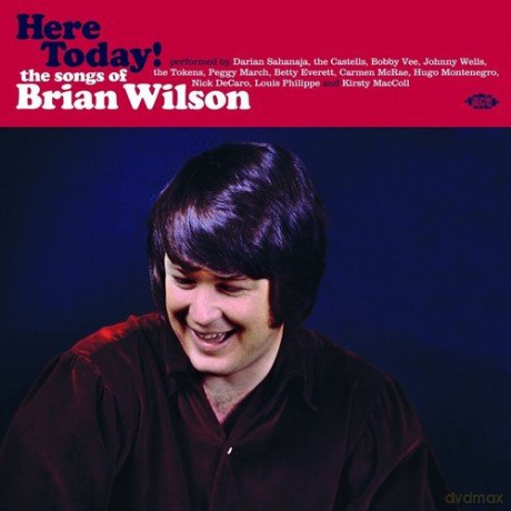 Here Today! The Songs Of Brian Wilson [Winyl]