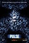Puls [DVD]