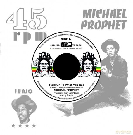 Michael Prophet: Hold On To What You Got [Winyl]