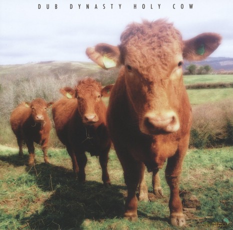 Dub Dynasty: Holy Cow [CD]