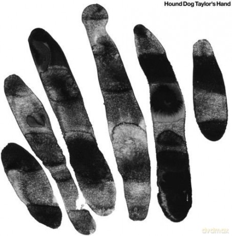 Hound Dog Taylors Hand: Hound Dog Taylors Hand [Winyl]
