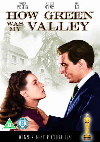 Zielona dolina [DVD]