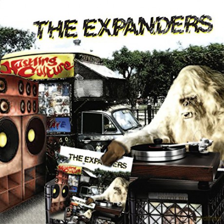 Expanders: Hustling Culture [Winyl]