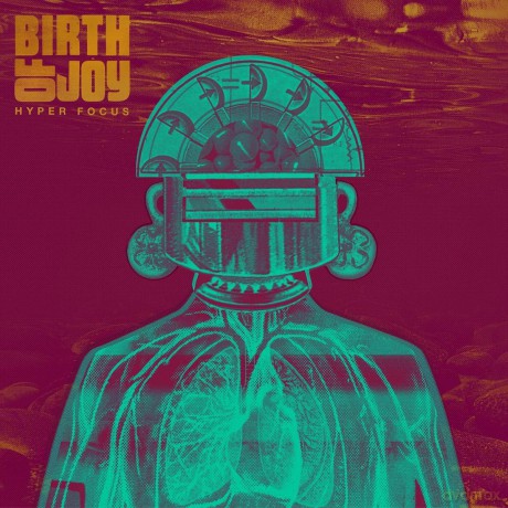 Birth Of Joy: Hyper Focus [CD]