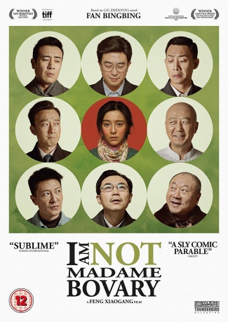 I Am Not Madame Bovary (Pani Bovary to nie ja) [DVD]