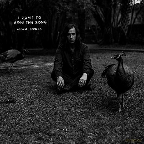 Adam Torres: I Came To Sing The Song [CD]