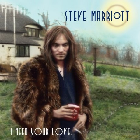 Steve Marriott: I Need Your Lovelike A Fish Needs A Raincoat 19621991 [2CD]