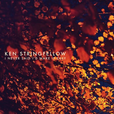 Ken Stringfellow: I Never Said ID Make It Easy [CD]