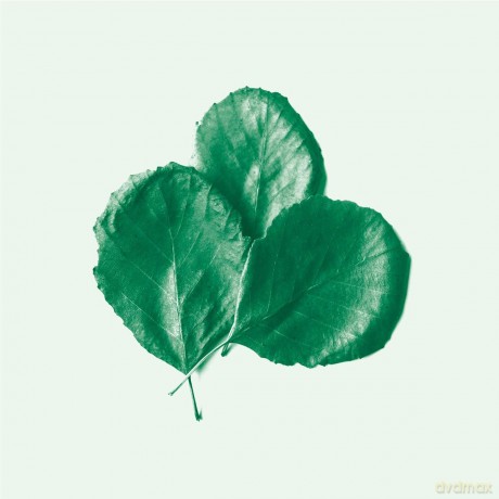 Alder Ego: II [CD]