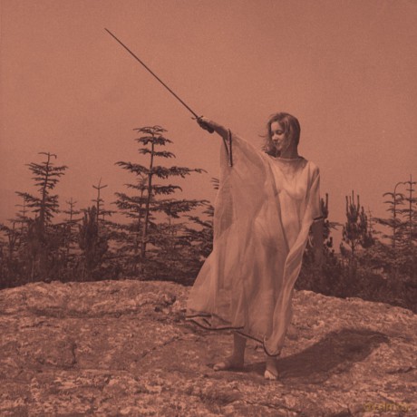 Unknown Mortal Orchestra: II [Winyl]