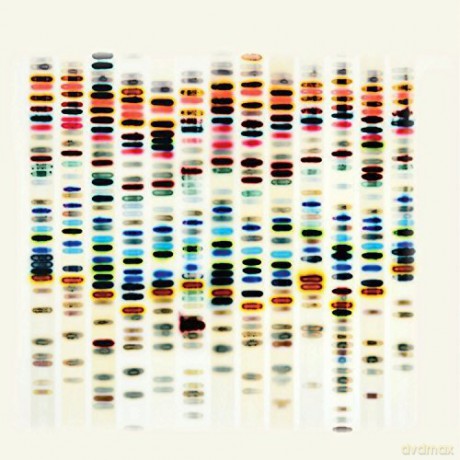 St-37: I'm Not Good [CD]