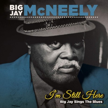 Big Jay Mcneely: I'm Still Here - Big Jay Sings The Blues [CD]