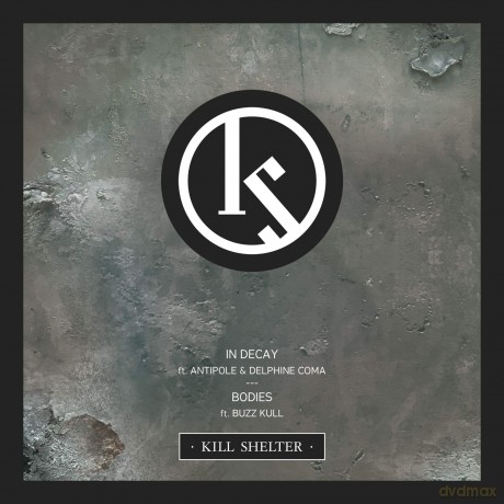 Kill Shelter: In Decay [Winyl]