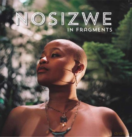 Nosizwe: In Fragments [CD]