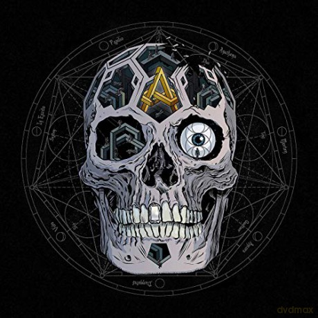 Atreyu: In Our Wake [Winyl]