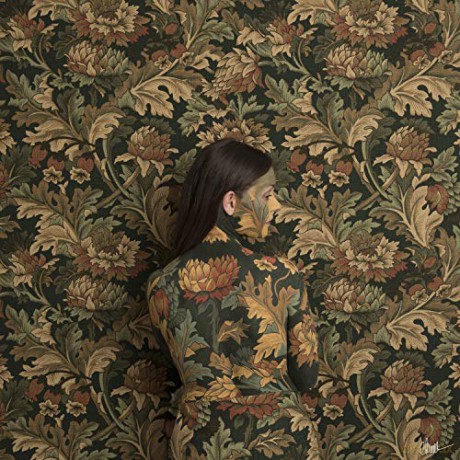 Honeyblood: In Plain Sight [CD]