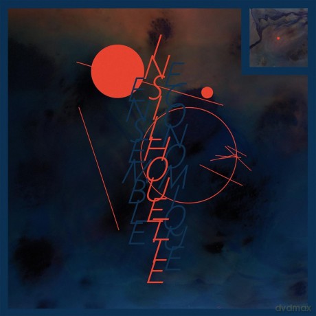 Ensemble Economique: In Silhouette [Winyl]