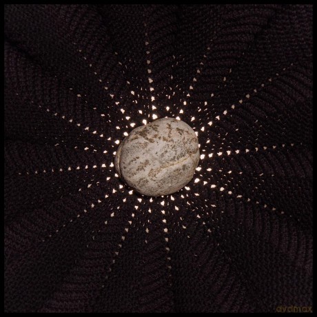 Nat Baldwin: In The Hollows [CD]