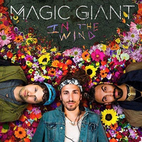 Magic Giant: In The Wind [CD]