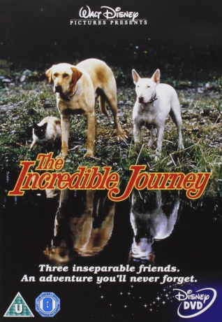 Incredible Journey (200 mil do domu) [DVD]