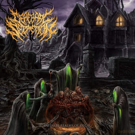 Cerebral Secretion: Infinite Realms Of Decay [CD]