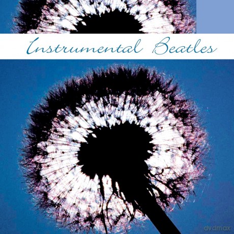 The Beatles: Instrumental Beatles [CD]