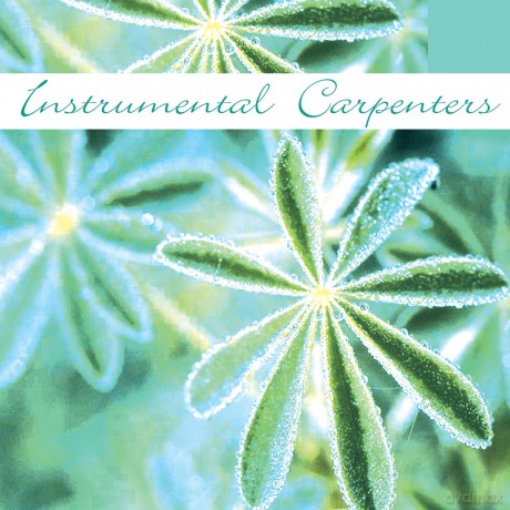 Instrumental Carpenters: Instrumental Carpenters [CD]