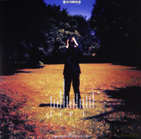 Steven Wilson: Insurgentes Vinyl [2xWinyl]