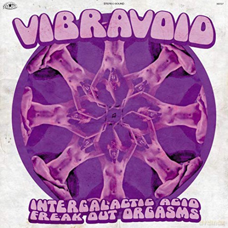 Vibravoid: Intergalactic Acid Freak Out Orgasms [CD]