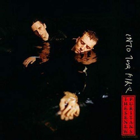These New Puritans: Into The Fire [Winyl]
