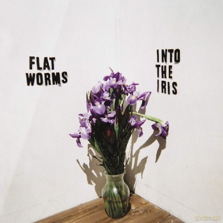 Flat Worms: Into The Iris [CD]