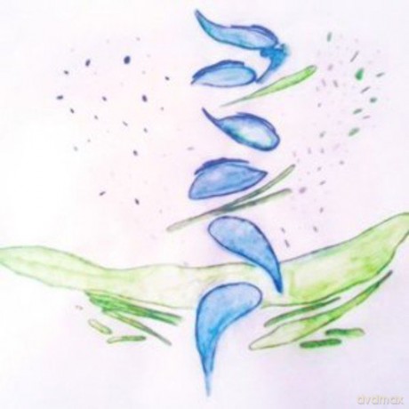 Fis: Iterations [Winyl]