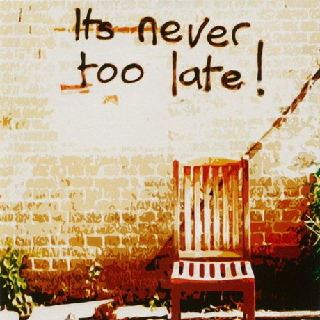 Nine Below Zero: Its Never Too Late! [CD]