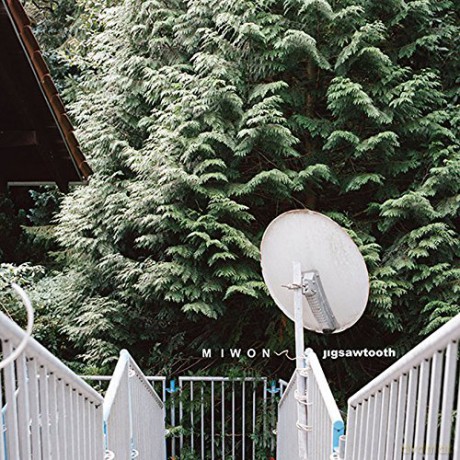 Miwon: Jigsawtooth [CD]