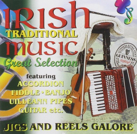 Irish Traditional Music [CD]