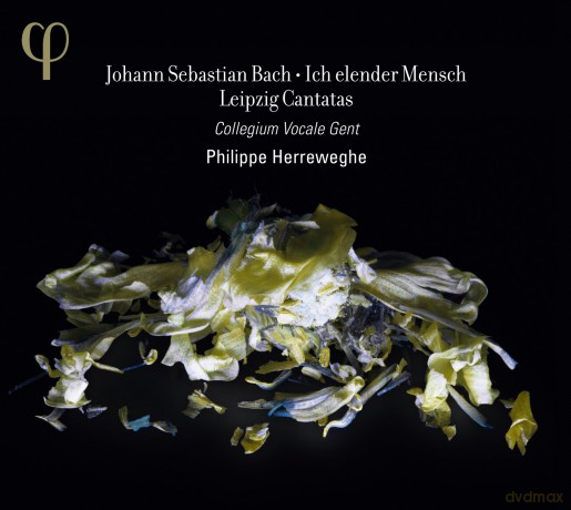 Collegium Vocale Gent: J.S. Bach/Ich Elender Mensch [CD]